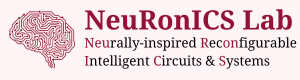 NeuRonICS IISc