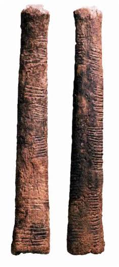 The Ishango bone, notched in three columns